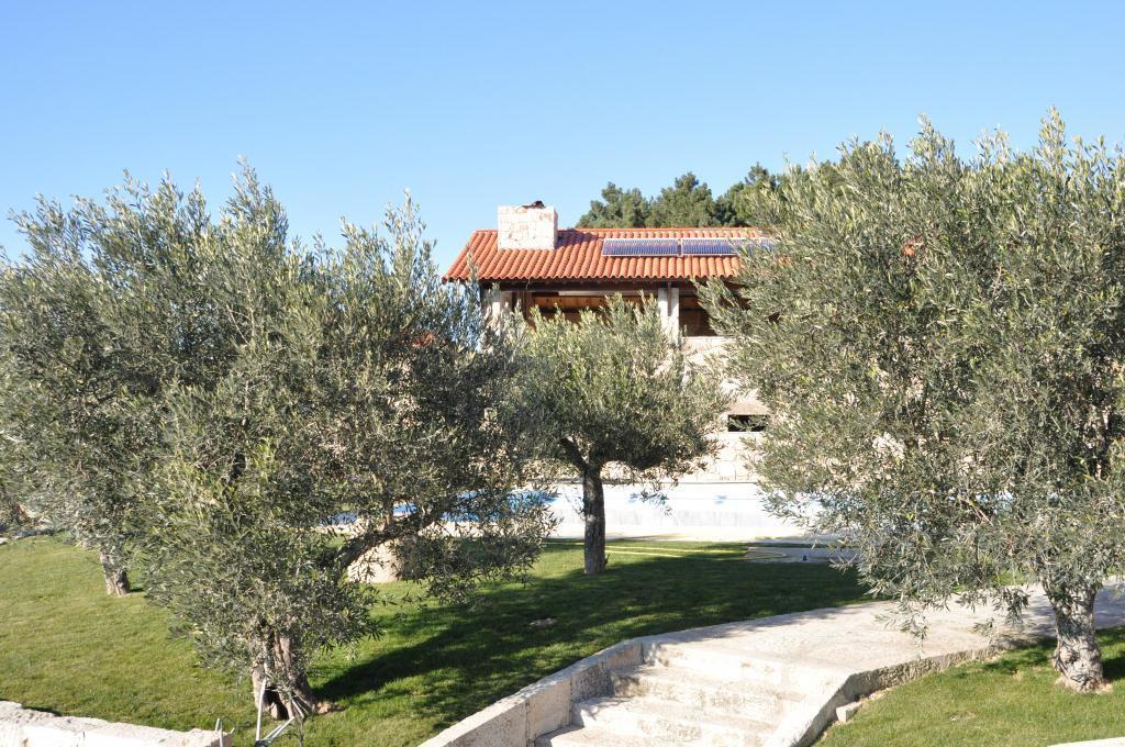 Quinta Do Olival Guest House Vilas Boas  Eksteriør bilde